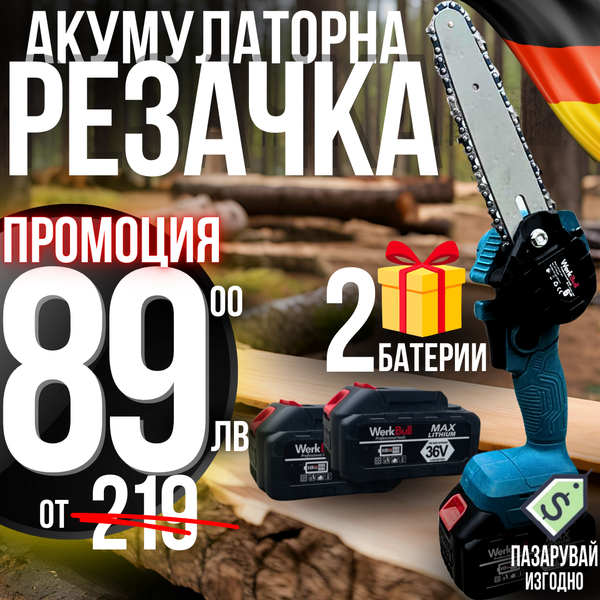 Акумулаторна Резачка за клони 36v 8Ah с 25см. шина с Автоматично – alt